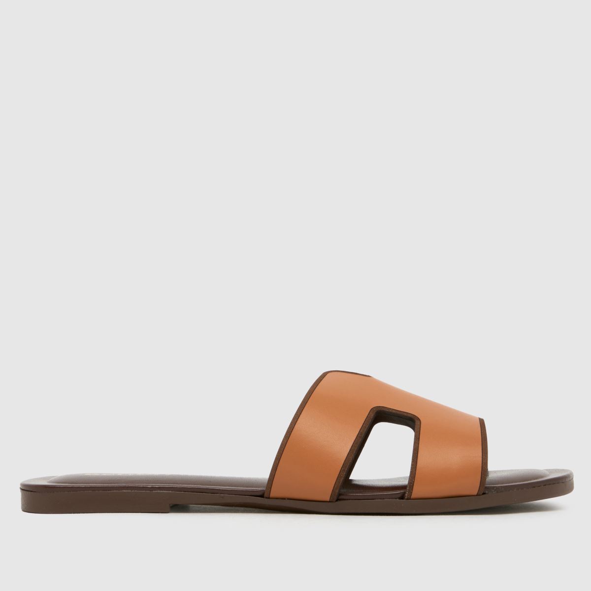 Footwear Feature Image